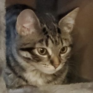 Meet your Posher, Beth